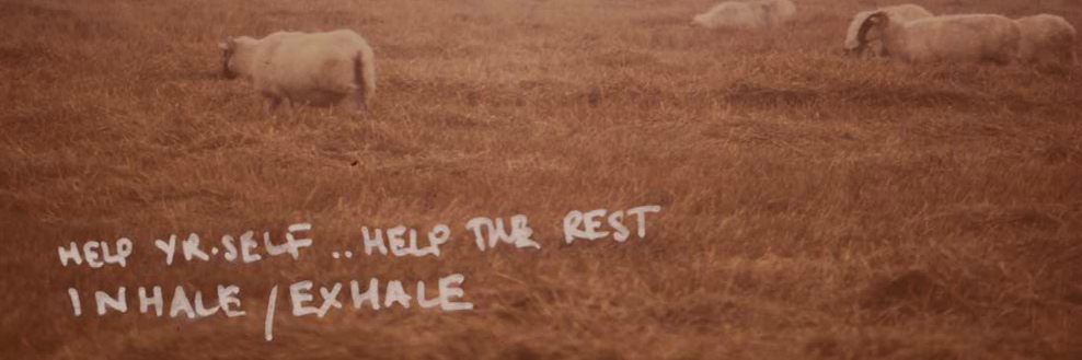 Guido Bajaña Yude banner