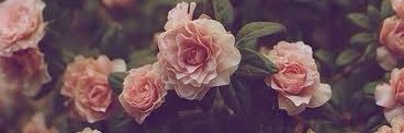 1429Fatma's profile banner image