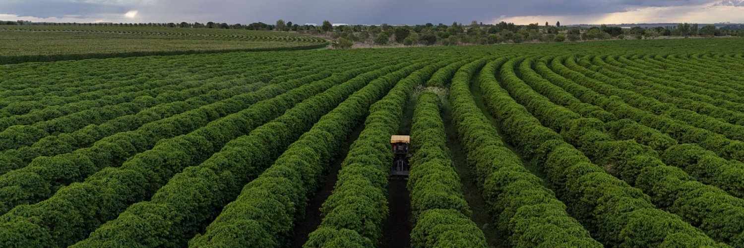 Marcelo Teixeira banner