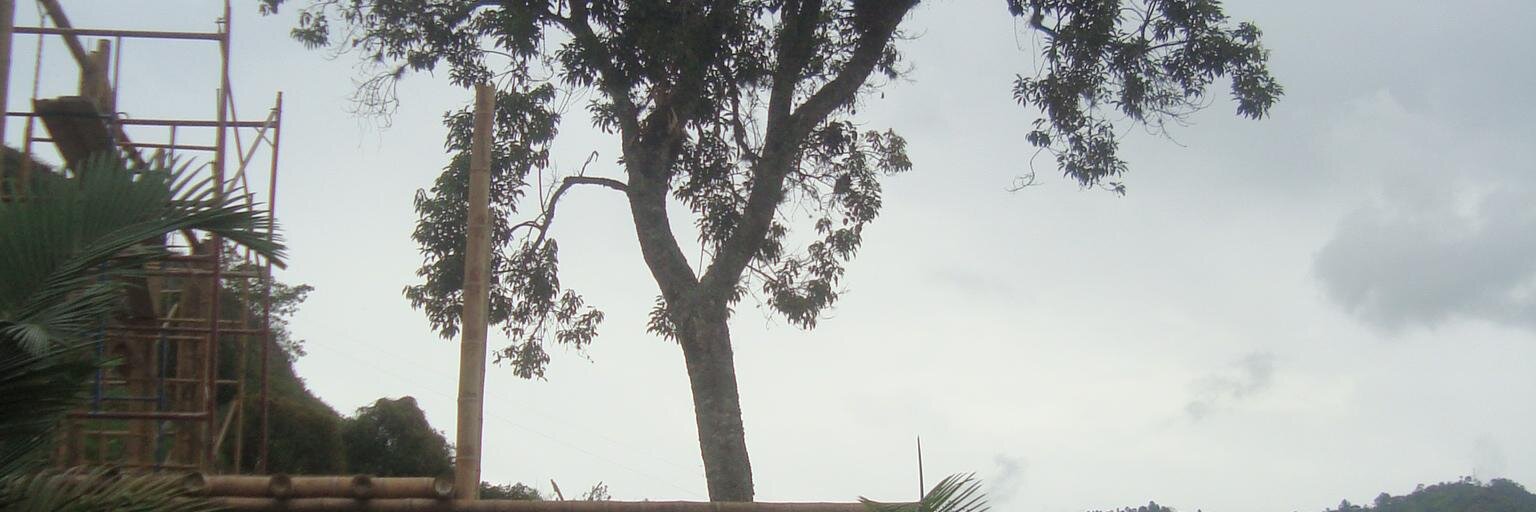 Abelopar's profile banner image