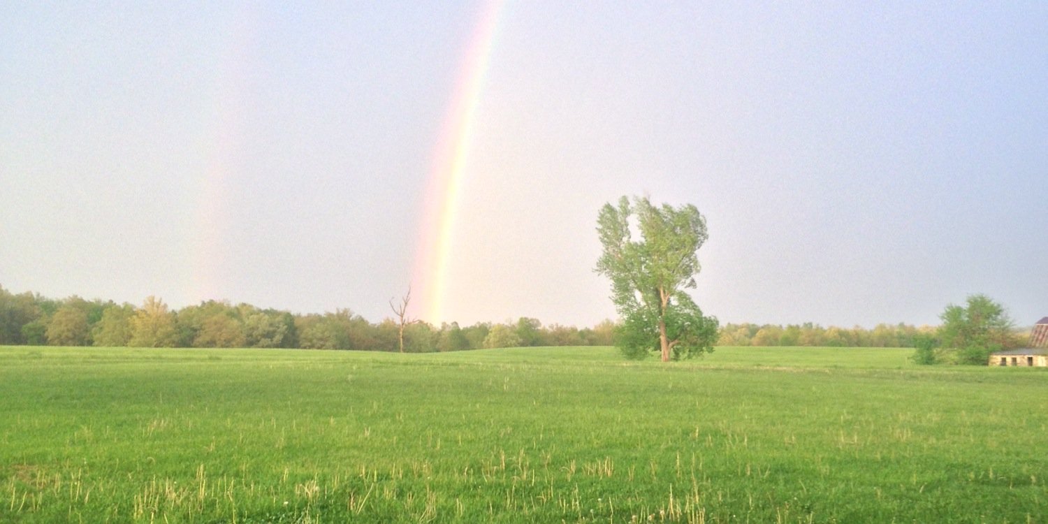 Jeremy Morris banner