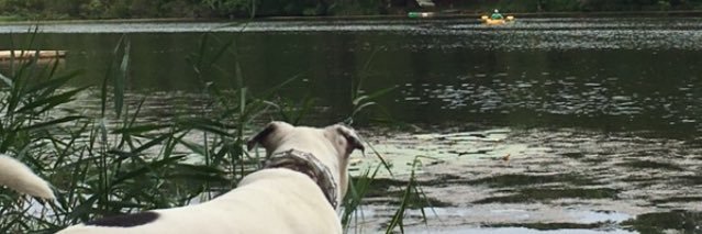 wessymoss's profile banner image