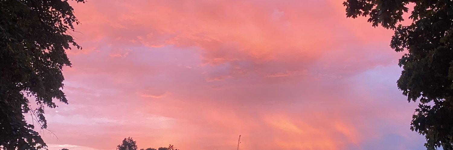 SteviShari's profile banner image