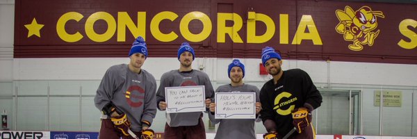 26_Sanche Profile Banner