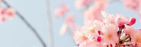 linepastoris's profile banner image