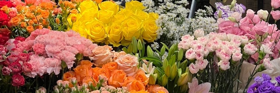 nnm__y's profile banner image