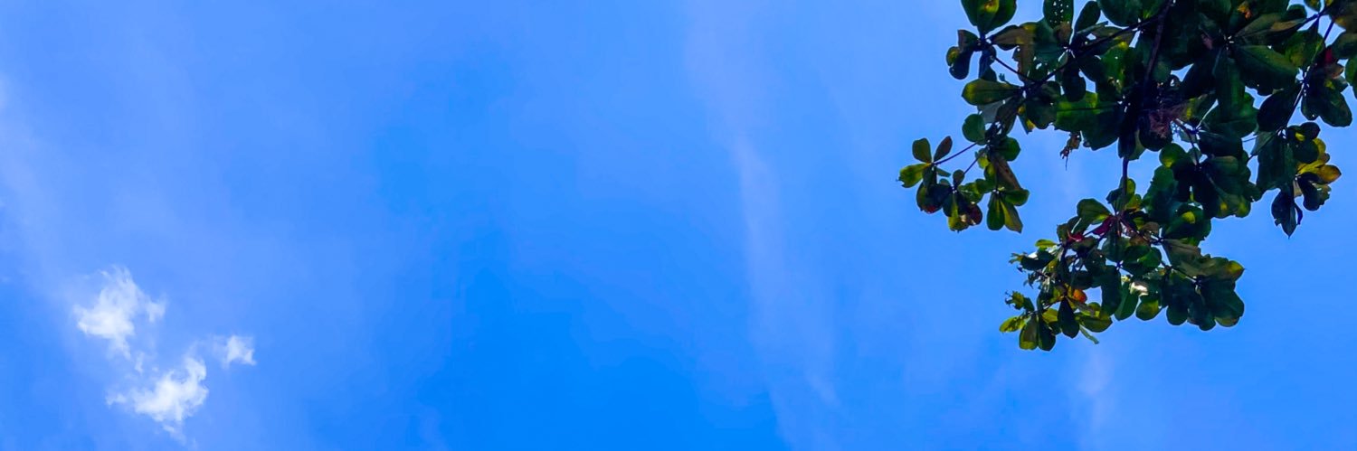 northamsterdamn's profile banner image