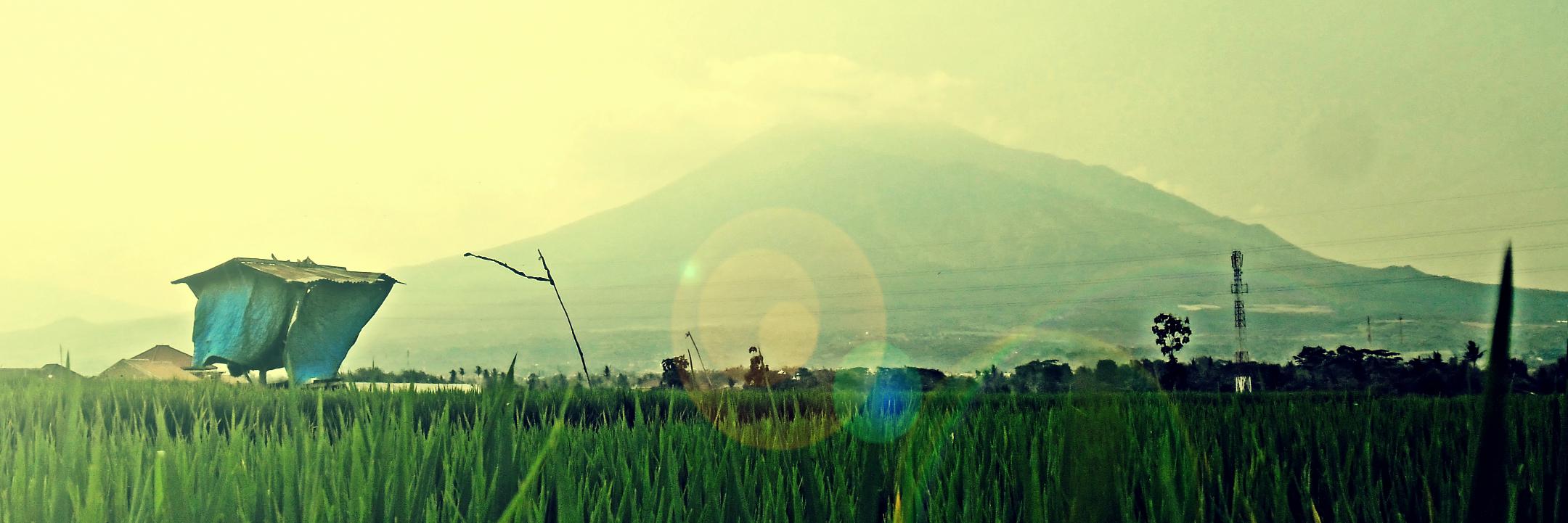 Dedi_Hermans's profile banner image