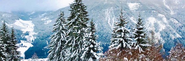 allisonjaure Profile Banner