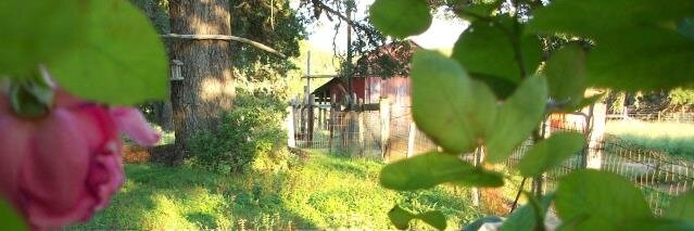 Jenny K. Hoffmann banner