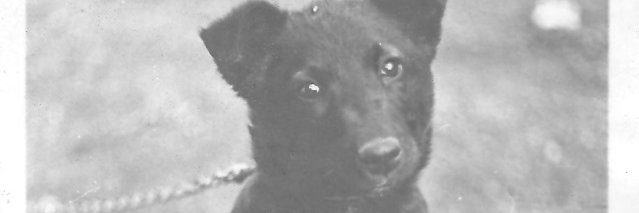 GeorGmENZIES's profile banner image