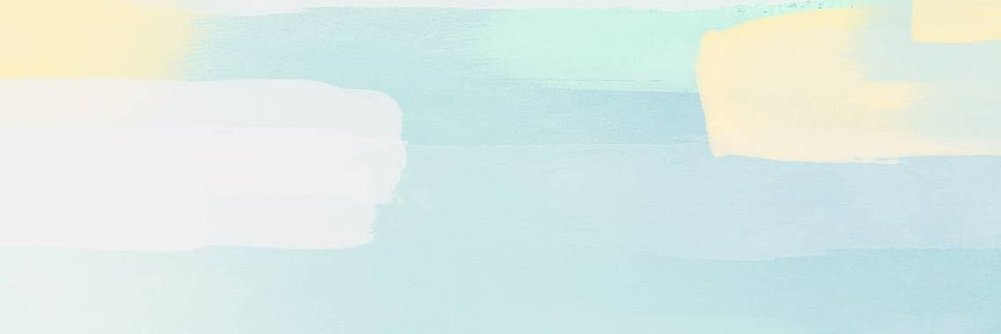 Livia de Santana banner