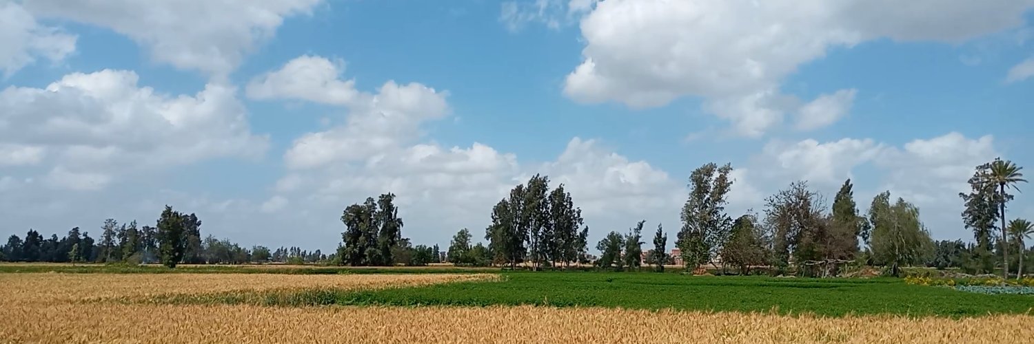 Halim3050's profile banner image