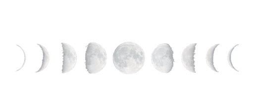 jessibouchard's profile banner image