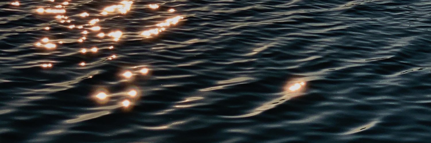 wordsbydev's profile banner image