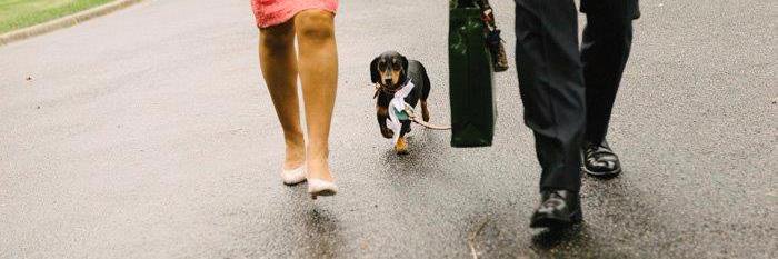 Paul Wheelton banner