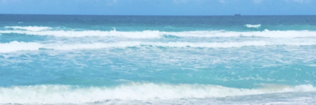 MSZPEACHES8's profile banner image