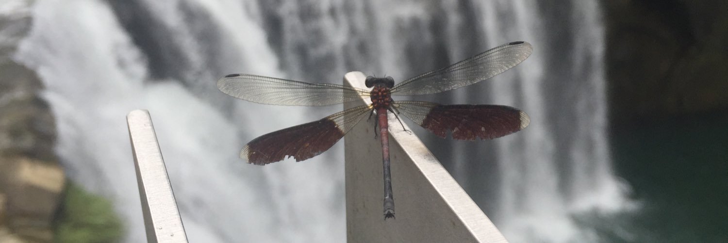 gerrygabby's profile banner image