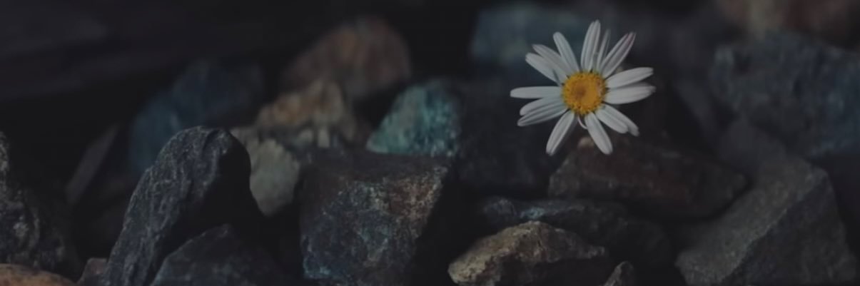 caassiano's profile banner image