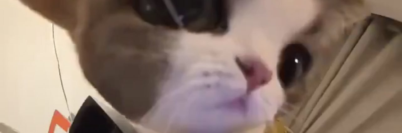 JKrodloff's profile banner image