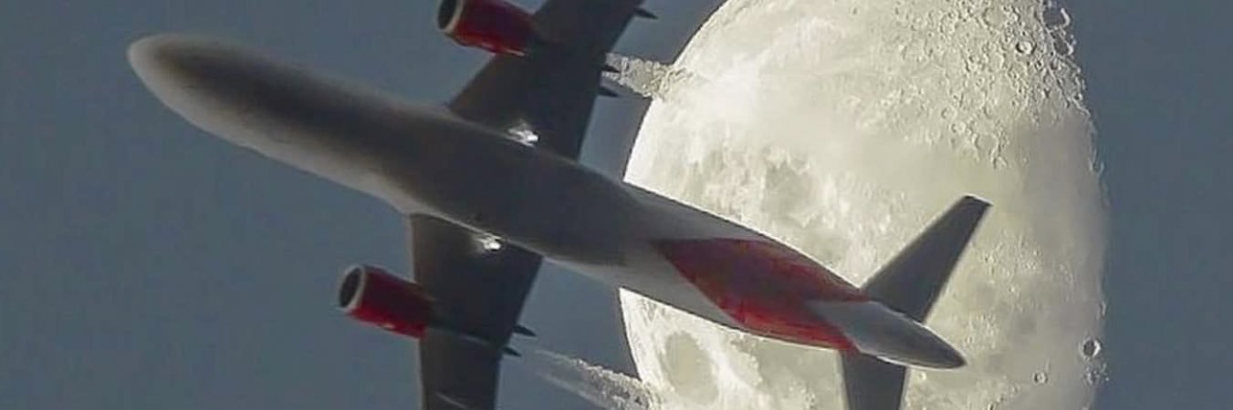 Gabi Morinigo Wolf banner