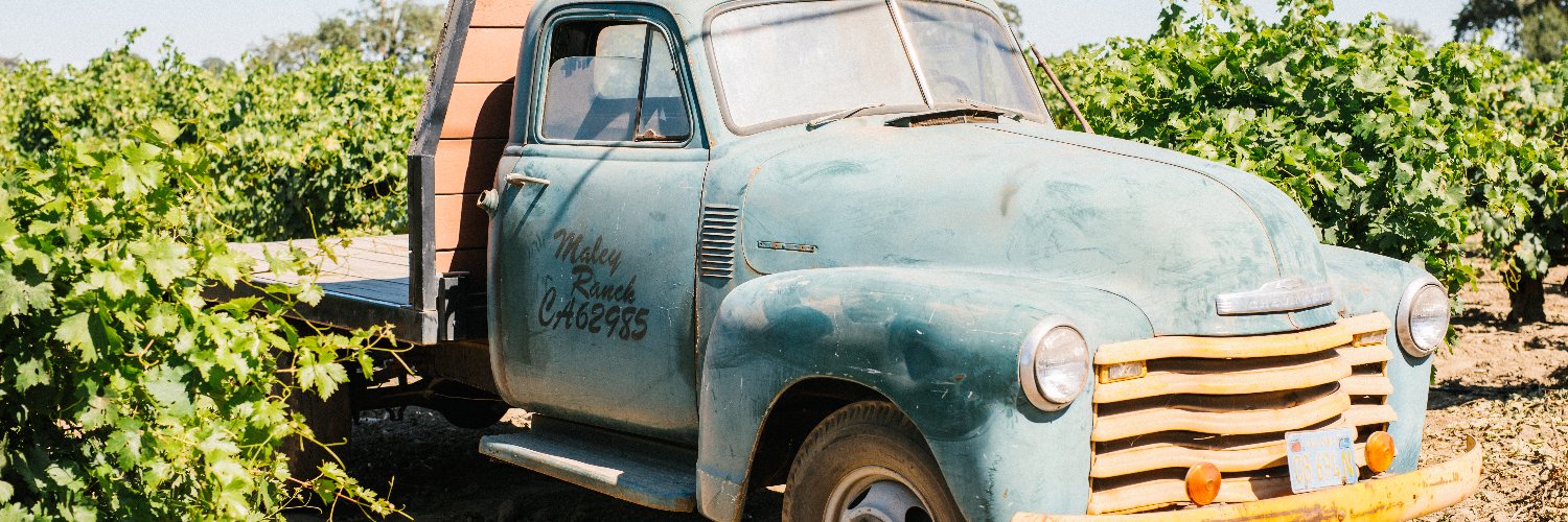 Lodi Wine Growers banner