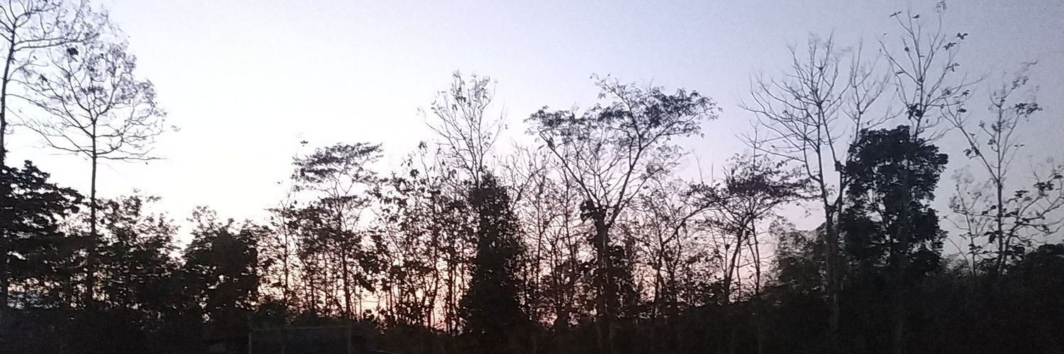 bocil_ngehe's profile banner image