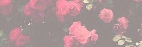 _jessicabailey's profile banner image
