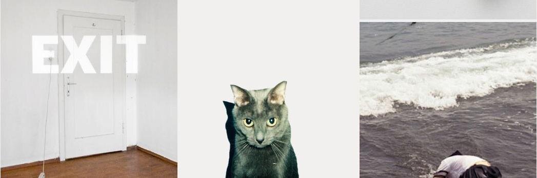 Waystar Rachco 🇮🇪🇵🇸🏳️‍⚧️ banner