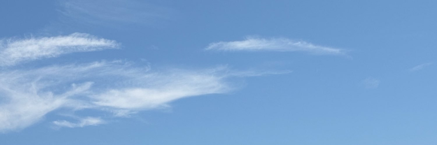 Sarahvlsn's profile banner image