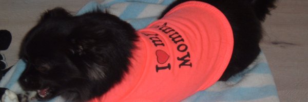 darknngel Profile Banner