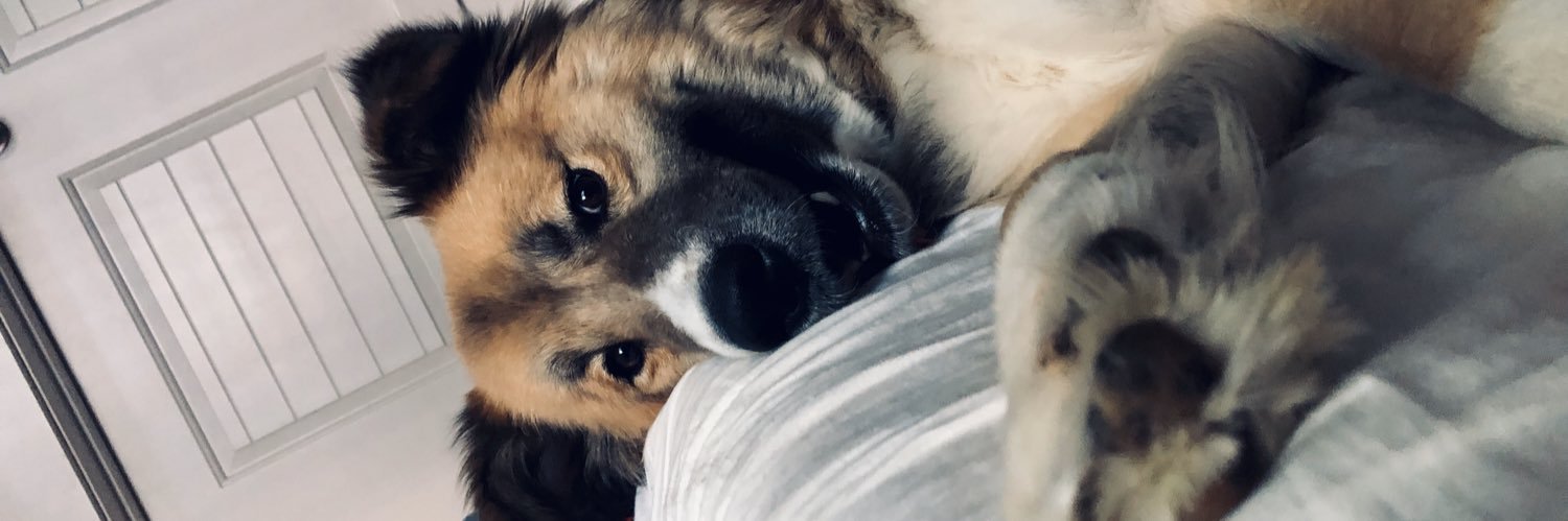 KelsieConn1's profile banner image