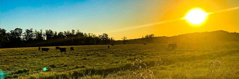 mnomno2808's profile banner image
