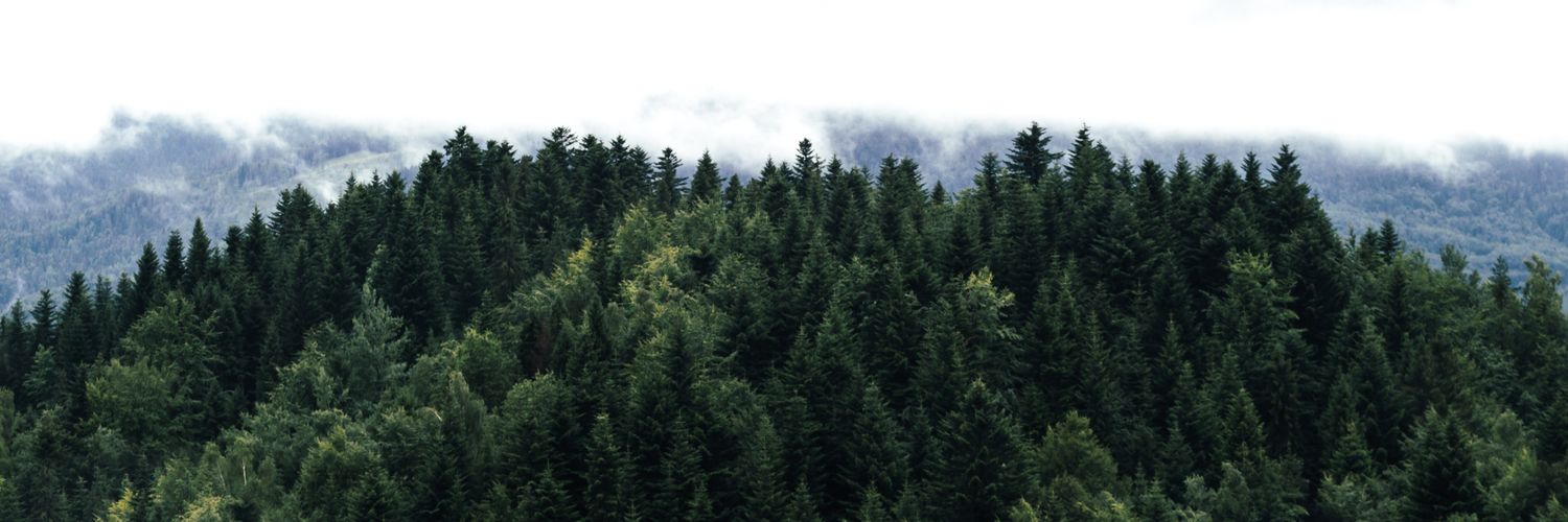 af_ryandi's profile banner image