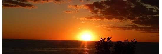 Blakely Bundy banner