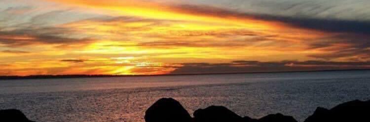 accaylien_'s profile banner image