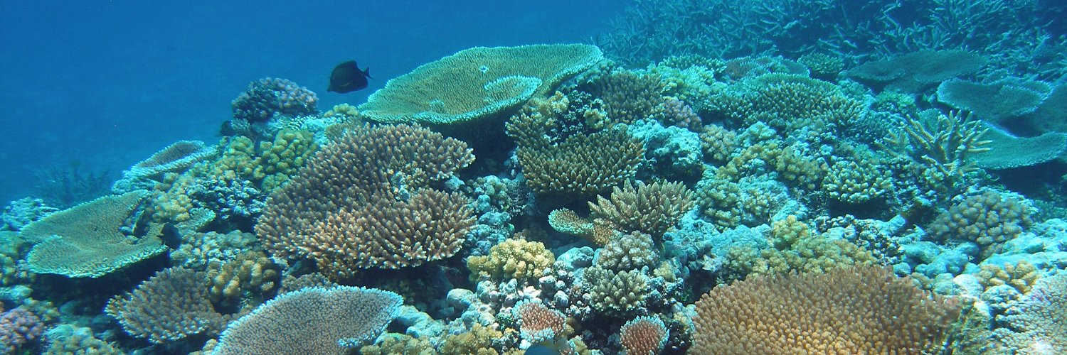 John Pandolfi banner