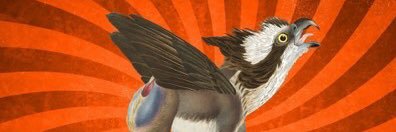 SrMandril's profile banner image