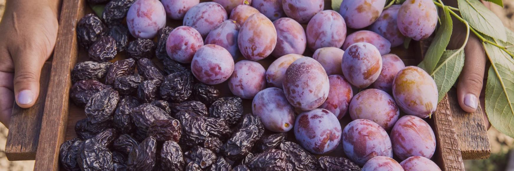 【公式】カリフォルニア プルーン協会 banner