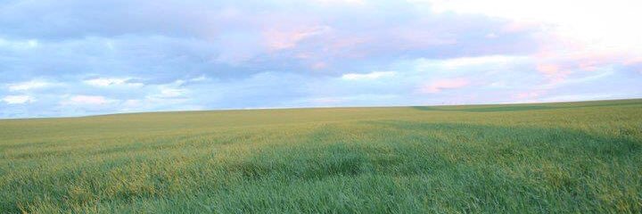 shaworthington's profile banner image