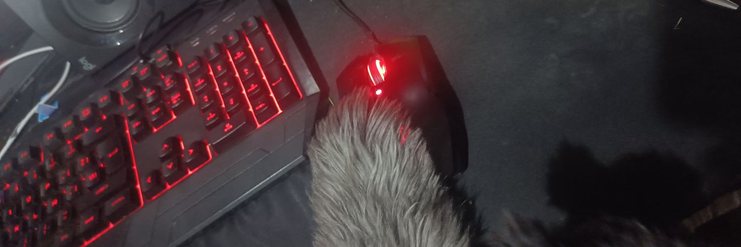 falconwie's profile banner image