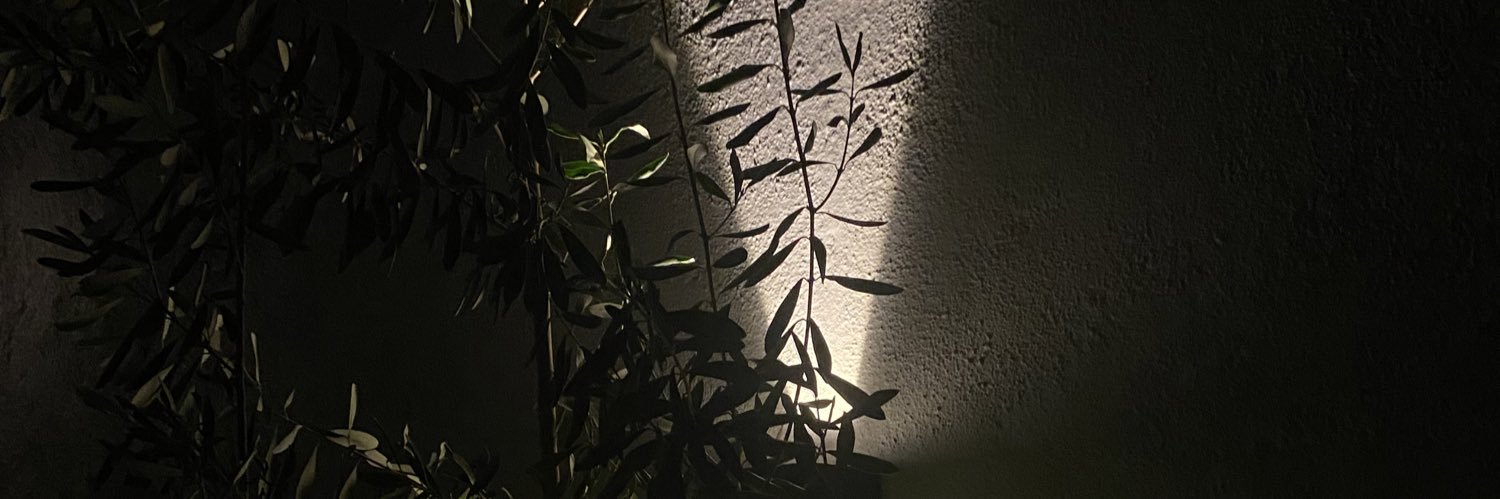 KamilaDzeidee's profile banner image