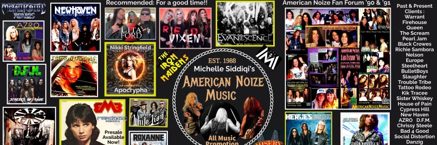 ★ Michelle Siddiqi American Noize ★ banner