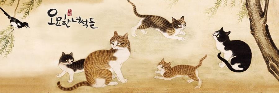 cfnmk's profile banner image