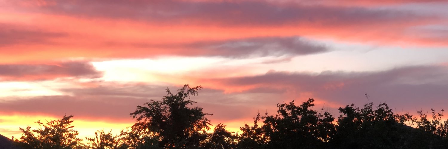 hannahgray357's profile banner image