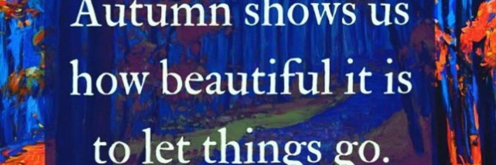 anabug1991's profile banner image