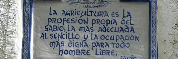 Guayo  Palomo banner