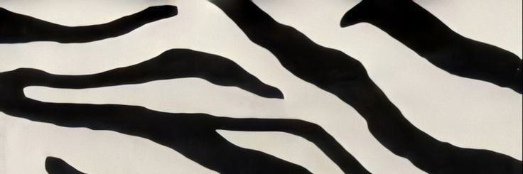 devislll's profile banner image