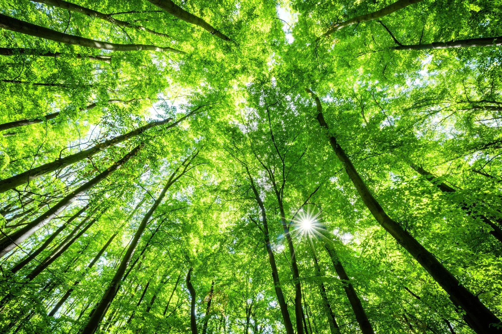 _SustainableMe's profile banner image