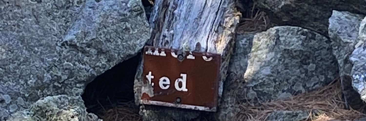 teeds01's profile banner image